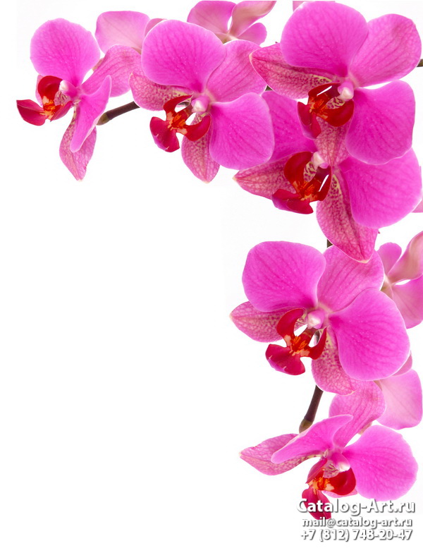 Натяжные потолки с фотопечатью - Розовые орхидеи 78